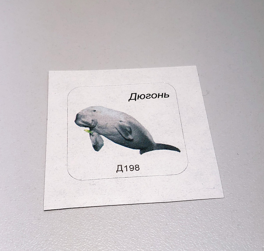 Превью 3